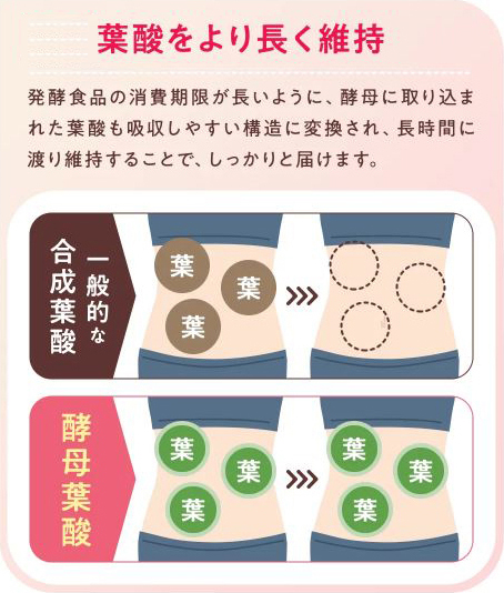 酵母葉酸の特徴